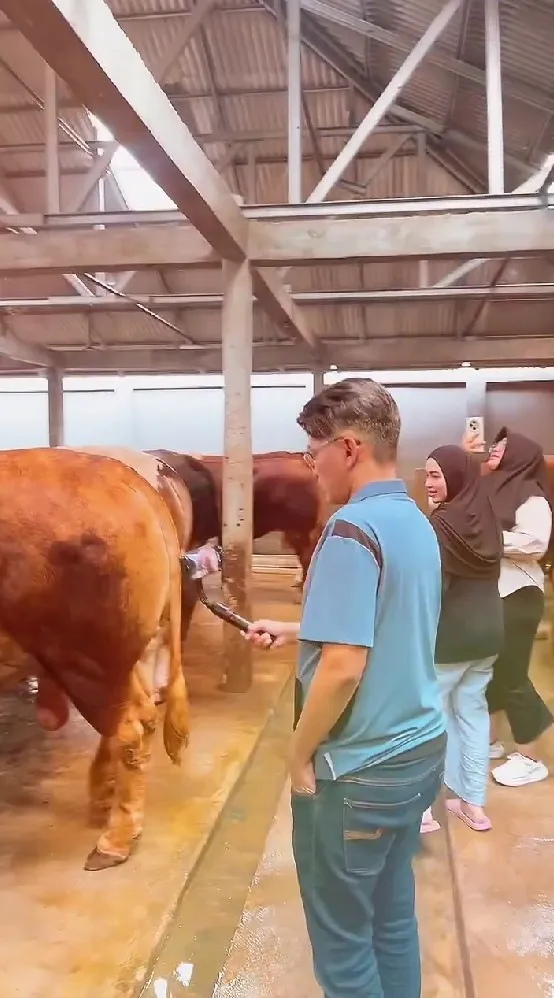 momen haru Ruben Onsu cari sapi kurban © Instagram momen haru Ruben Onsu cari sapi kurban © Instagram