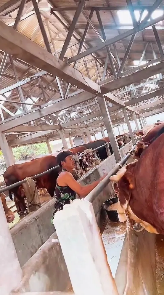 momen haru Ruben Onsu cari sapi kurban © Instagram momen haru Ruben Onsu cari sapi kurban © Instagram