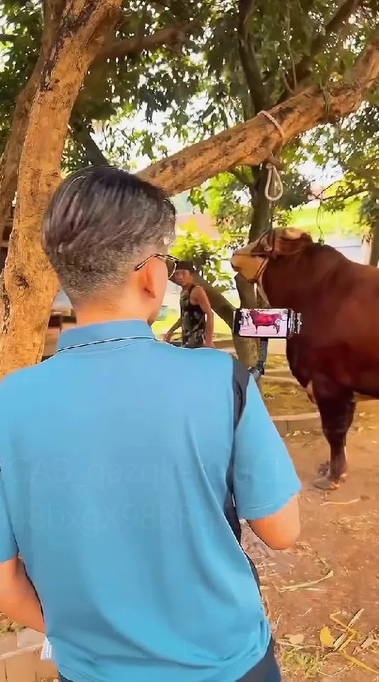 momen haru Ruben Onsu cari sapi kurban © Instagram momen haru Ruben Onsu cari sapi kurban © Instagram