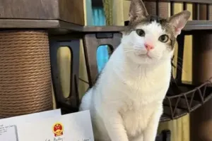 Bobby Kertanegara dikawal polisi saat hadiri event kucing, ini penjelasan Istana