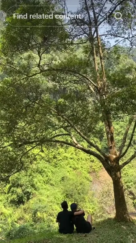 ponsel sejoli malah direbut monyet © TikTok ponsel sejoli malah direbut monyet © TikTok