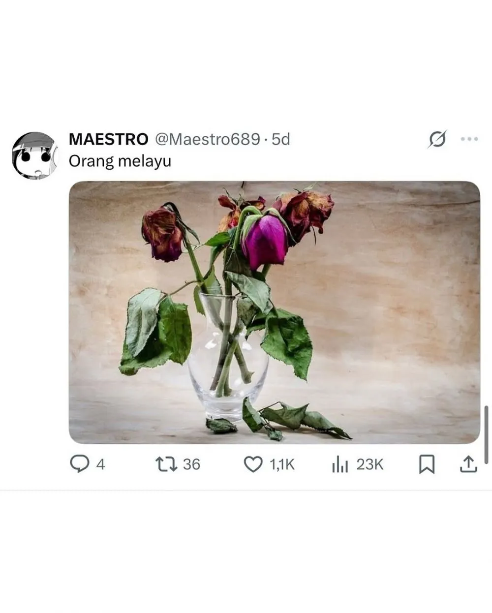 nama kota dari meme © 2025 Instagram