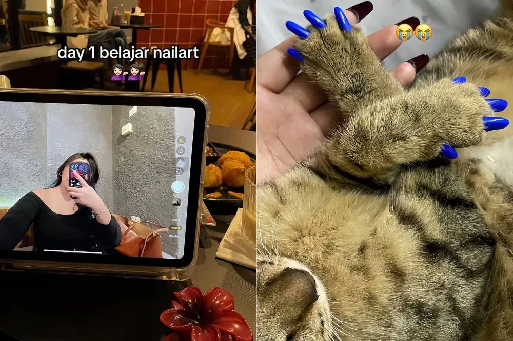 trend tiktok day 1 © 2025 Instagram