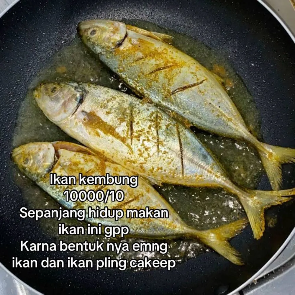 rating ikan good looking © 2025 TikTok