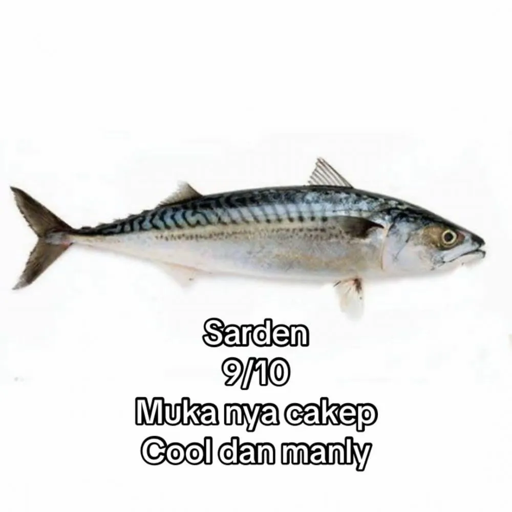 rating ikan good looking © 2025 TikTok