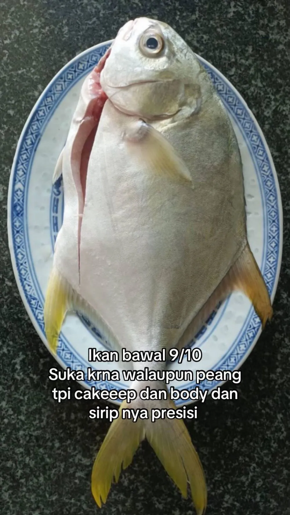 rating ikan good looking © 2025 TikTok