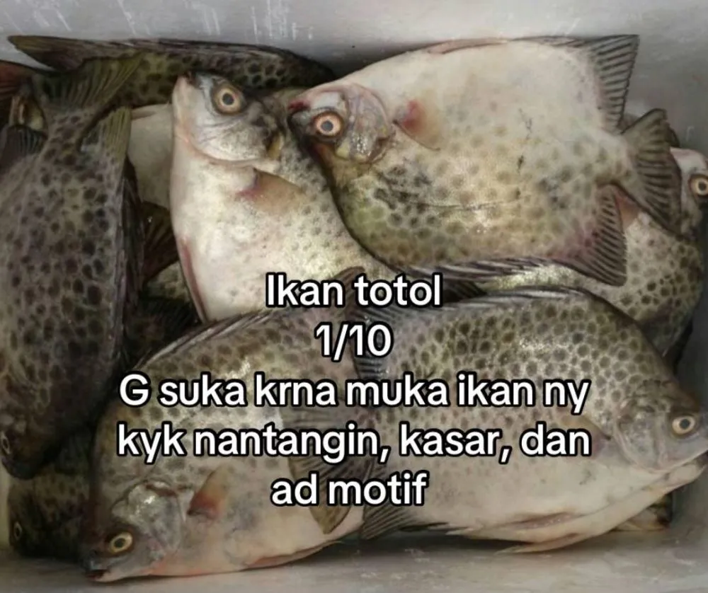 rating ikan good looking © 2025 TikTok