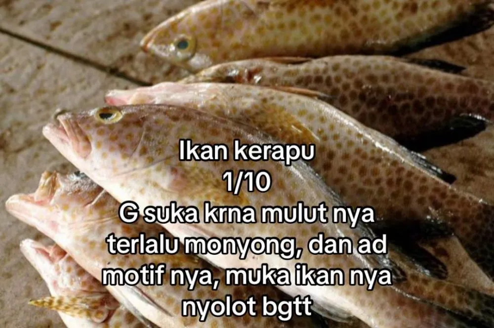 rating ikan good looking © 2025 TikTok