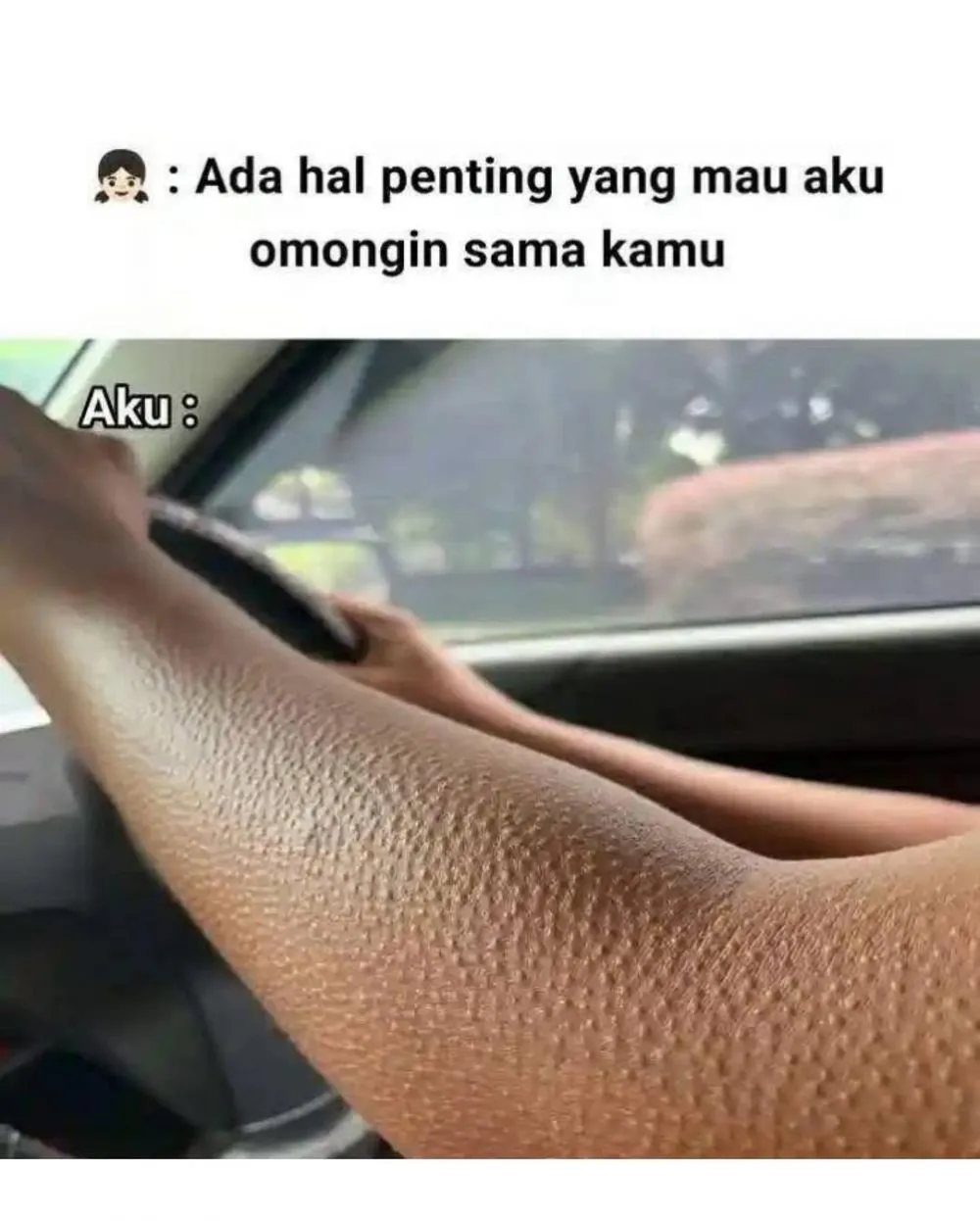 meme lucu buat orang dewasa © 2025 Instagram