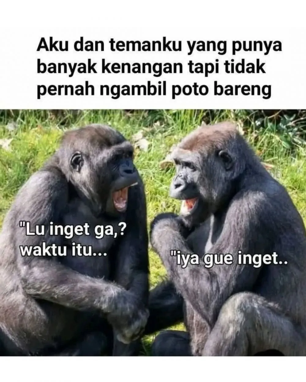 meme lucu buat orang dewasa © 2025 Instagram