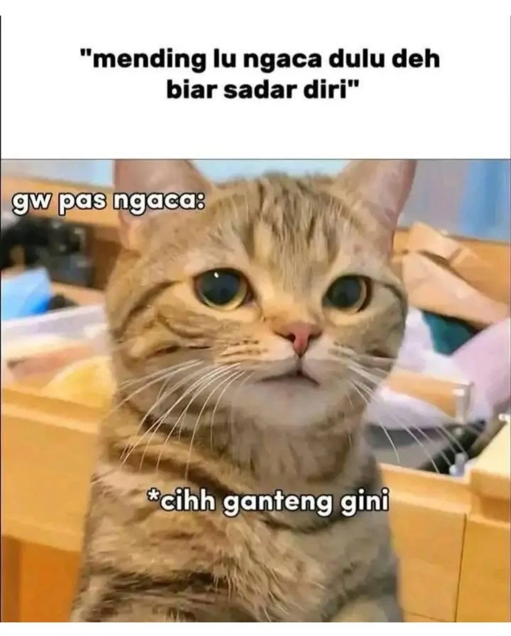 meme lucu buat orang dewasa © 2025 Instagram