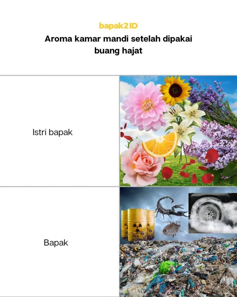 beda suami dan istri © 2025 Instagram