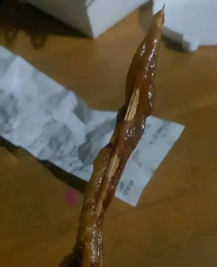 momen apes beli sate © 2025 berbagai sumber