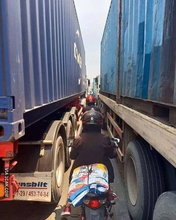 potret lucu bikin ketar ketir © 2025 berbagai sumber