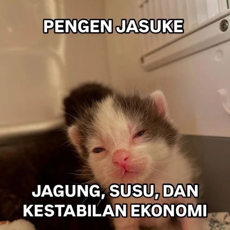 meme suka duka pencari cuan © 2025 berbagai sumber