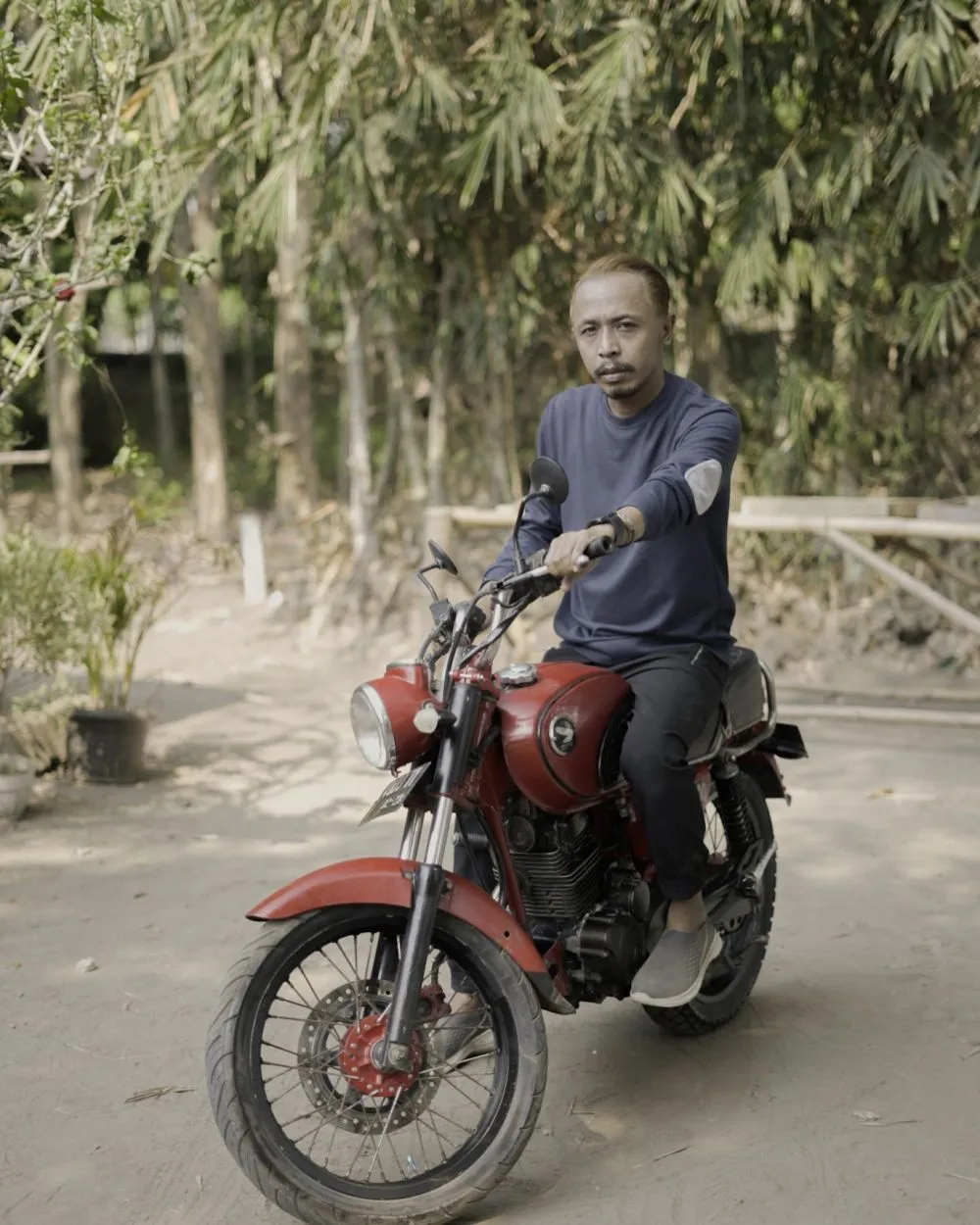 Cerita Furry Setya jadi jangkrik di iklan © berbagai sumber Cerita Furry Setya jadi jangkrik di iklan © berbagai sumber