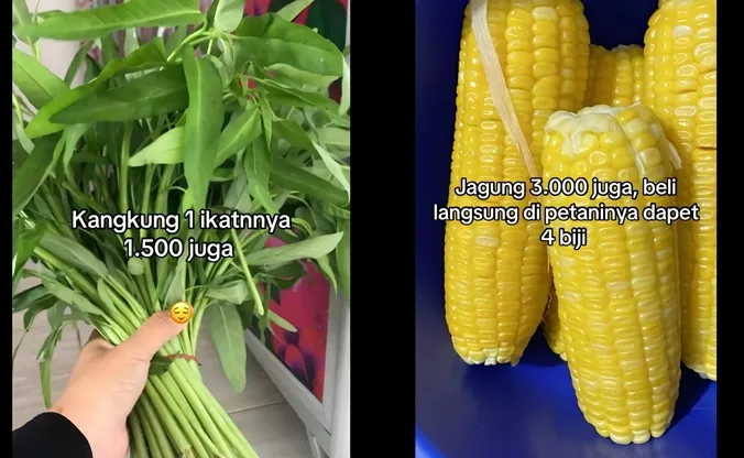 Wanita hanya habiskan 50 ribu per minggu di Kalimantan © 2025 Instagram