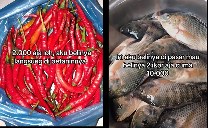 Wanita hanya habiskan 50 ribu per minggu di Kalimantan © 2025 Instagram