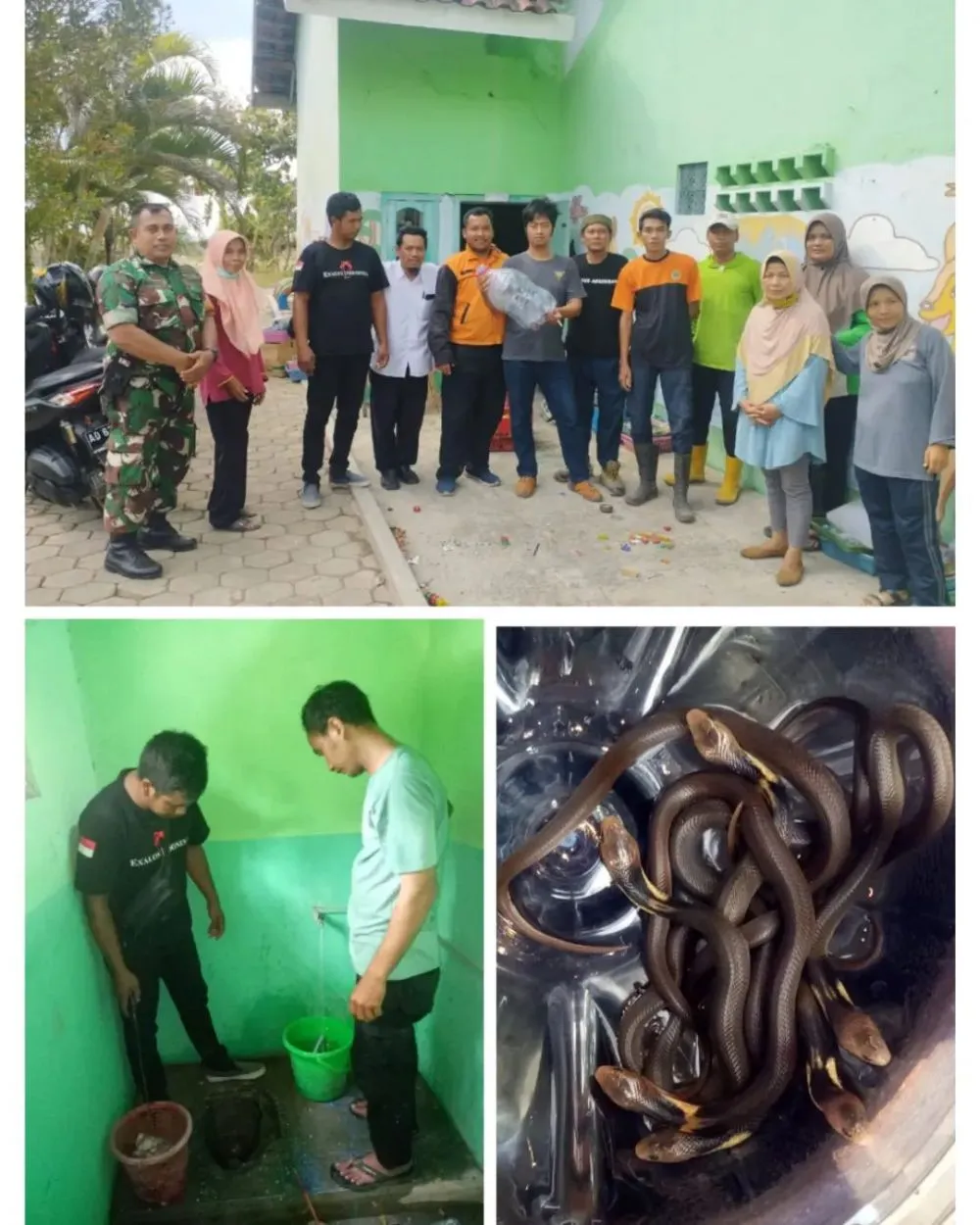 14 ular keliaran di TK © Instagram 14 ular keliaran di TK © Instagram