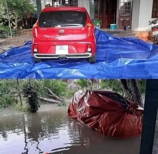 manusia pakai otak © berbagai sumber