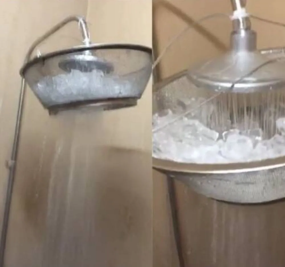 manusia pakai otak © berbagai sumber