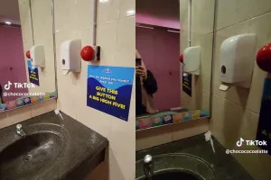 Wanita ini tunjukkan potret toilet umum yang tak biasa, alih-alih kebelet malah jadi pengin joget