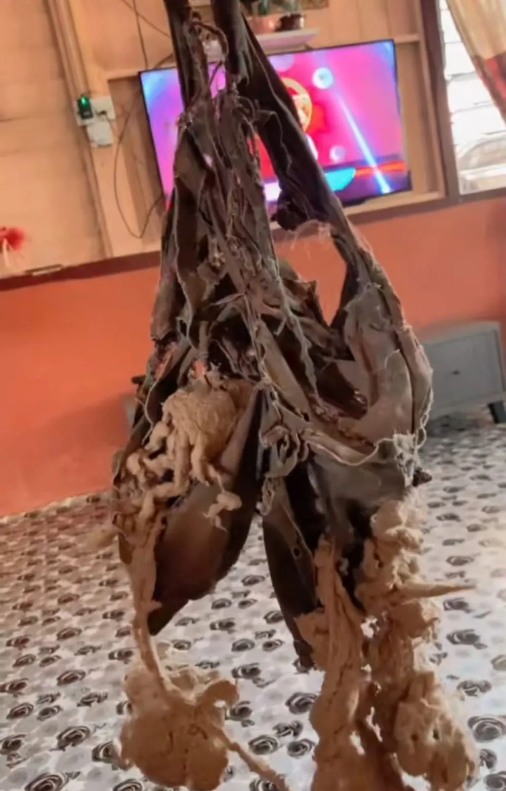 bantal jadul © TikTok