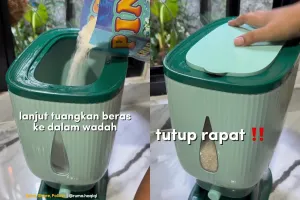 Cara ampuh agar stok beras bebas dari kutu dan serangga, cuma butuh 1 bahan dapur ini