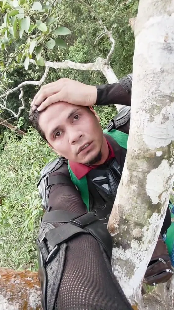 momen menegangkan pria diincar harimau © TikTok momen menegangkan pria diincar harimau © TikTok