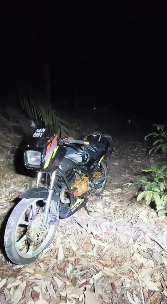 momen menegangkan pria diincar harimau © TikTok momen menegangkan pria diincar harimau © TikTok