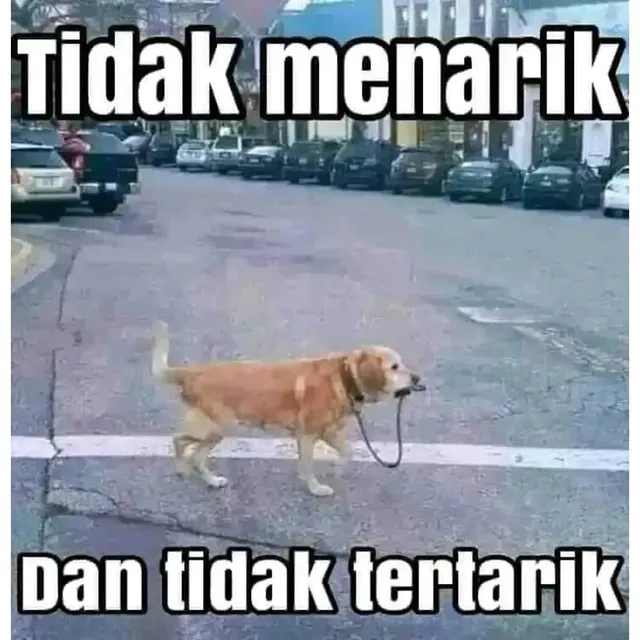 meme lucu receh © 2025 Instagram meme lucu receh © 2025 Instagram