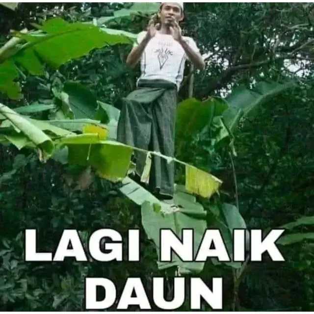 meme lucu receh © 2025 Instagram meme lucu receh © 2025 Instagram