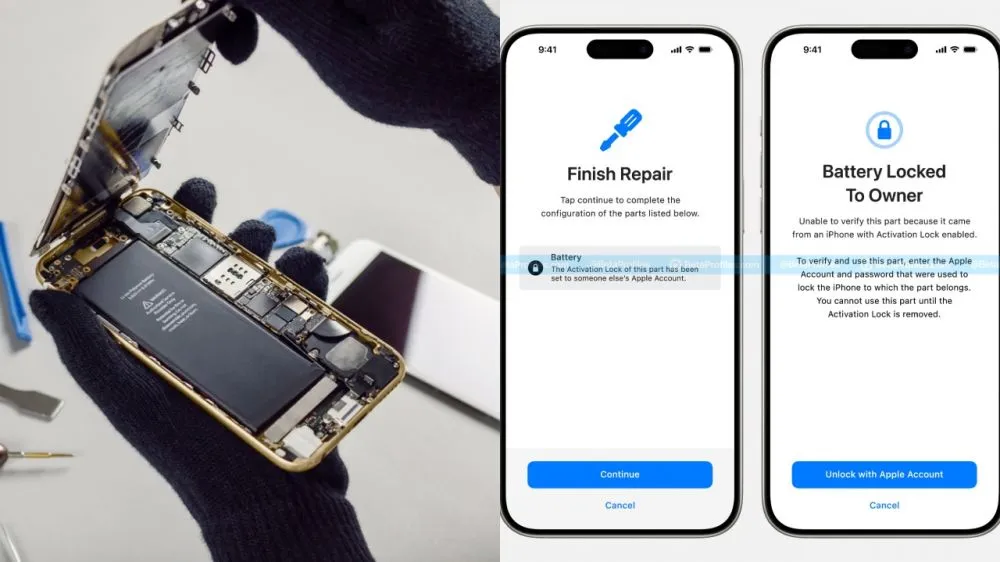 Shutterstock.com Shutterstock.com