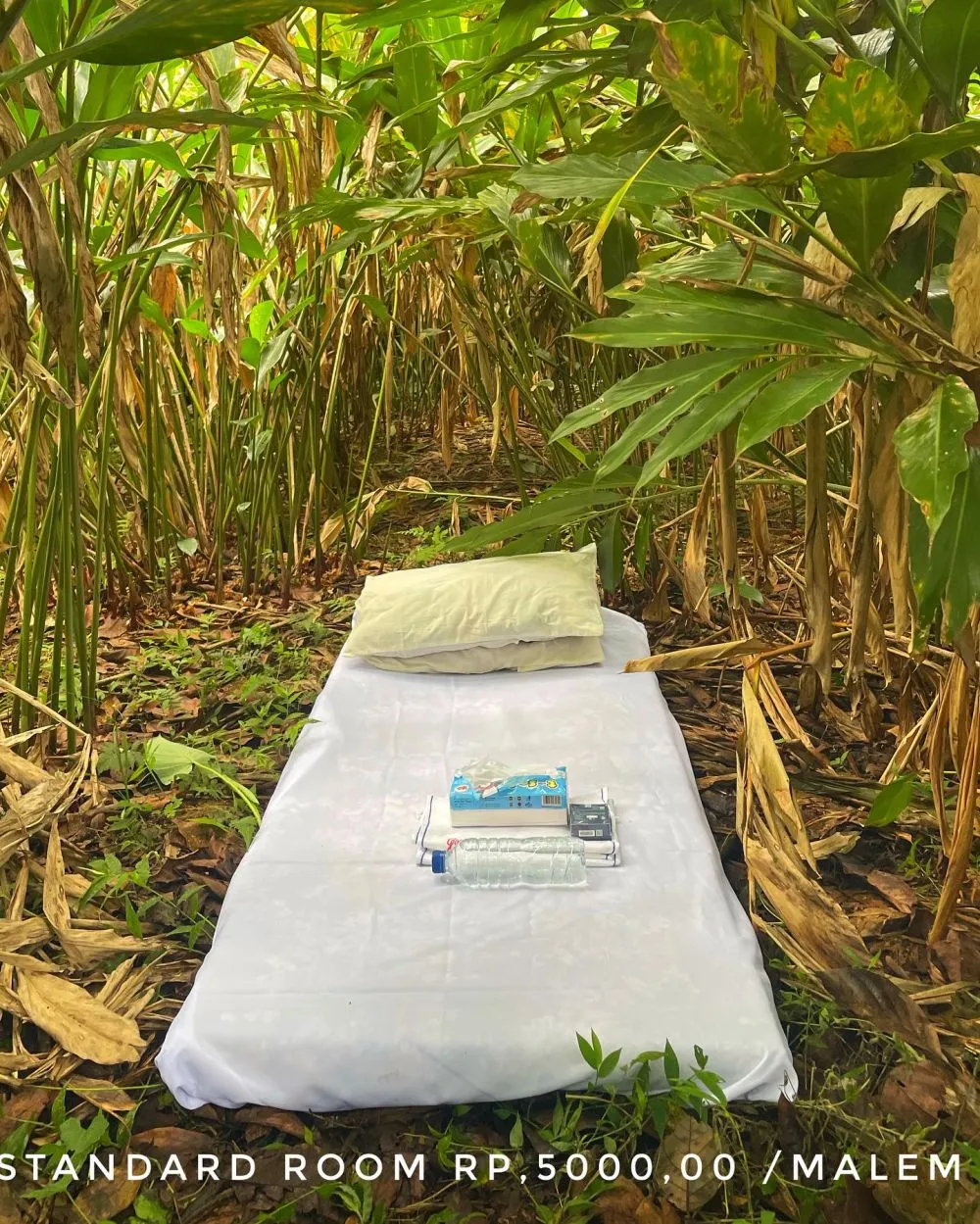 hotel semak semak © 2025 Instagram