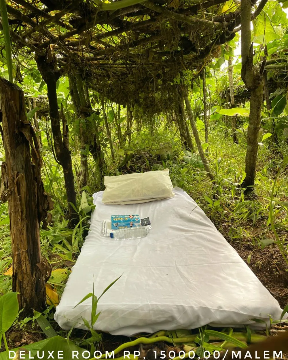 hotel semak semak © 2025 Instagram