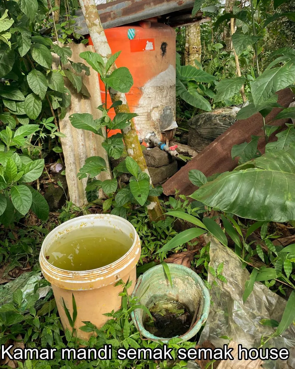 hotel semak semak © 2025 Instagram