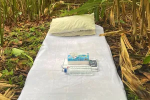 7 Potret lucu Semak-Semak House, penginapan 'bintang 5' bernuansa alam ini bikin ngakak warganet