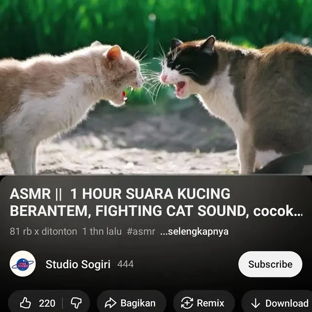 video asmr nyeleneh pengantar tidur © 2025 Instagram