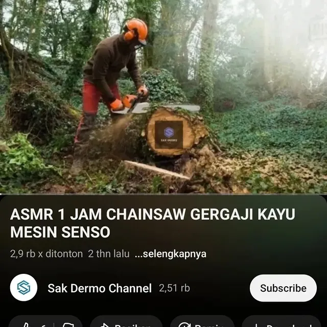 video asmr nyeleneh pengantar tidur © 2025 Instagram