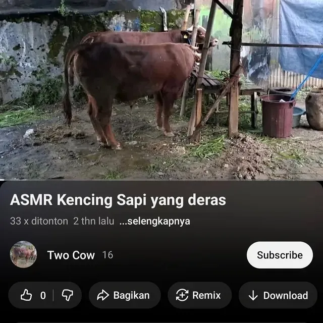 video asmr nyeleneh pengantar tidur © 2025 Instagram