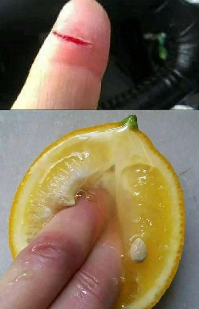 momen apes bisa dirasakan © berbagai sumber momen apes bisa dirasakan © berbagai sumber