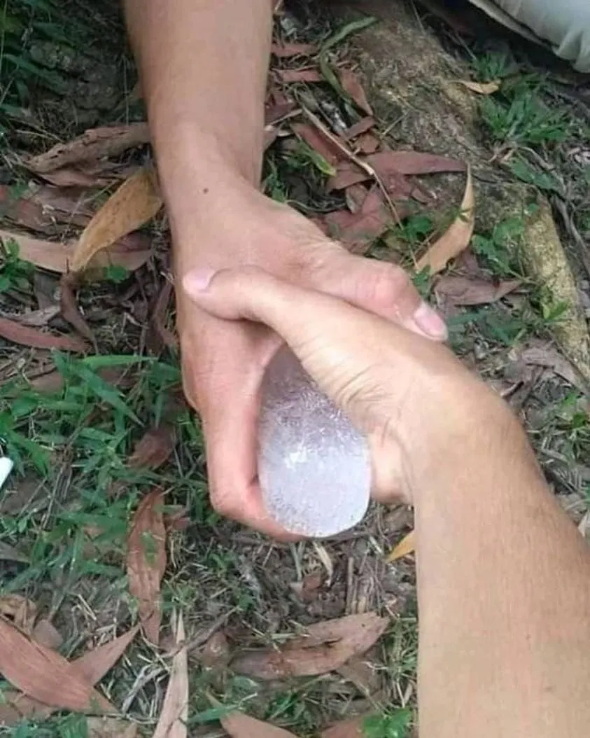 momen apes bisa dirasakan © berbagai sumber momen apes bisa dirasakan © berbagai sumber