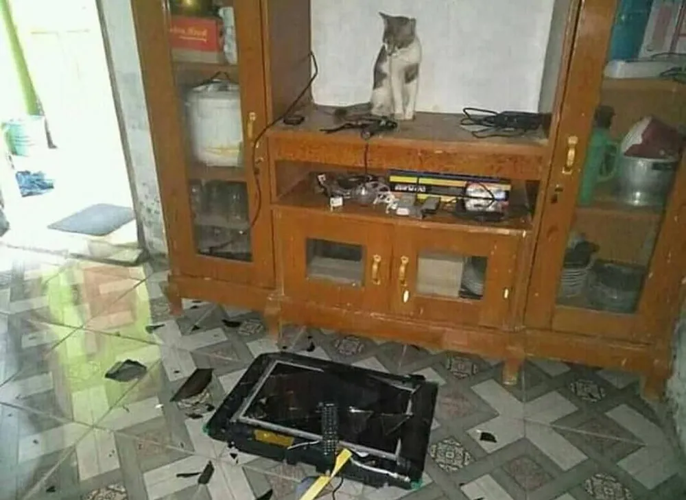 momen apes bisa dirasakan © berbagai sumber momen apes bisa dirasakan © berbagai sumber