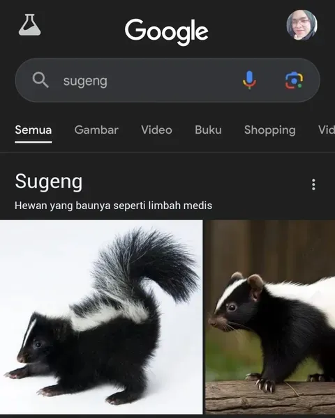 Gambar lucu hasil pencarian Google © 2025 Instagram