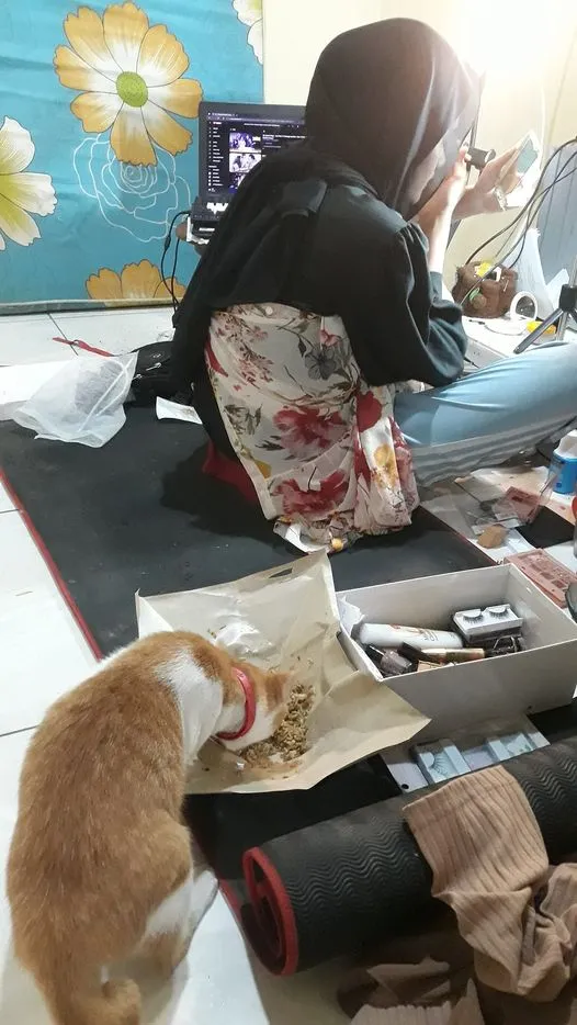 apes akibat teledor © berbagai sumber apes akibat teledor © berbagai sumber