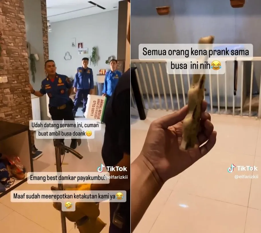 damkar ular © TikTok damkar ular © TikTok