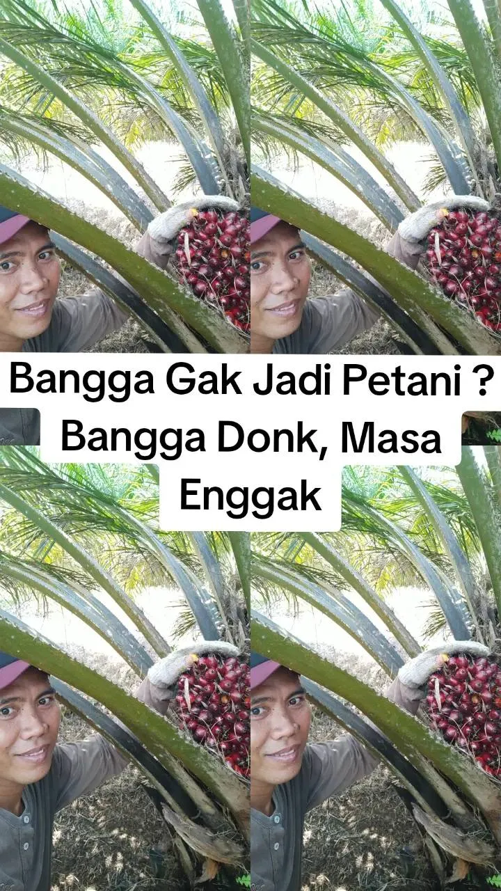 Viral pria lulus cumlaude kini jadi petani © 2025 TikTok Viral pria lulus cumlaude kini jadi petani © 2025 TikTok