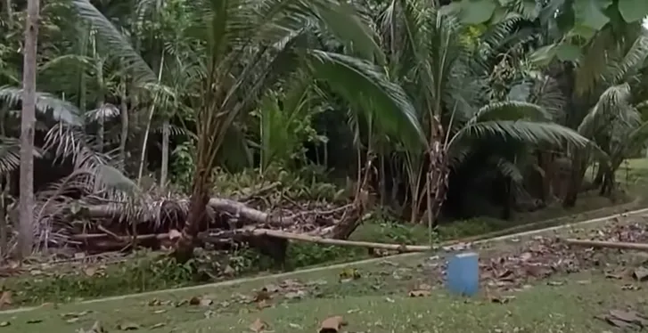 rumah masa kecil Fajar sadboy © 2023 brilio.net rumah masa kecil Fajar sadboy © 2023 brilio.net