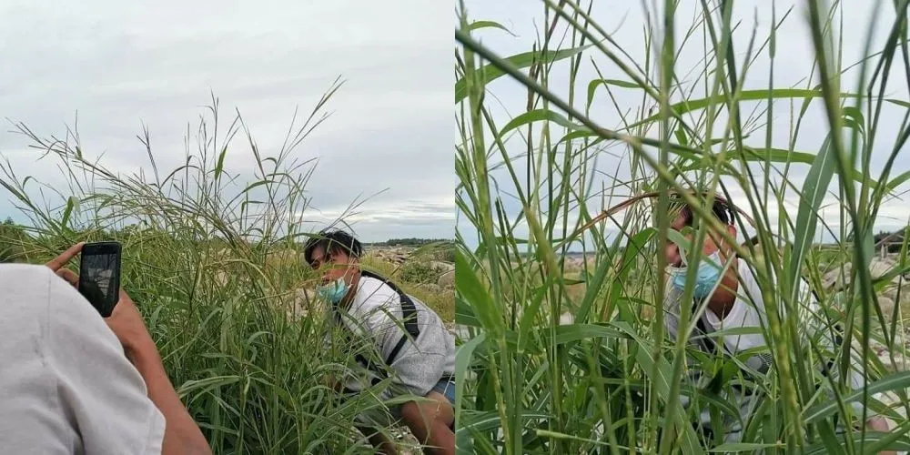 gagal foto estetik © berbagai sumber gagal foto estetik © berbagai sumber