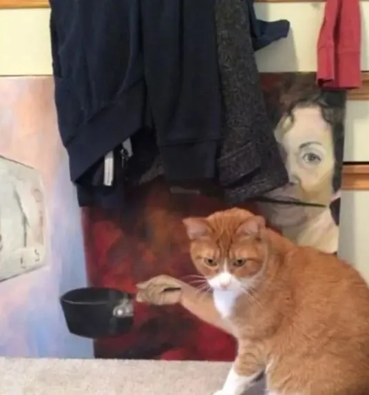 gambar nyeleneh mengecoh mata © berbagai sumber